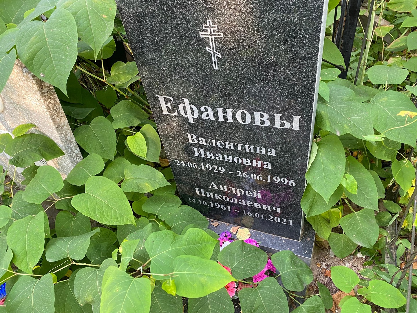 Ефанова