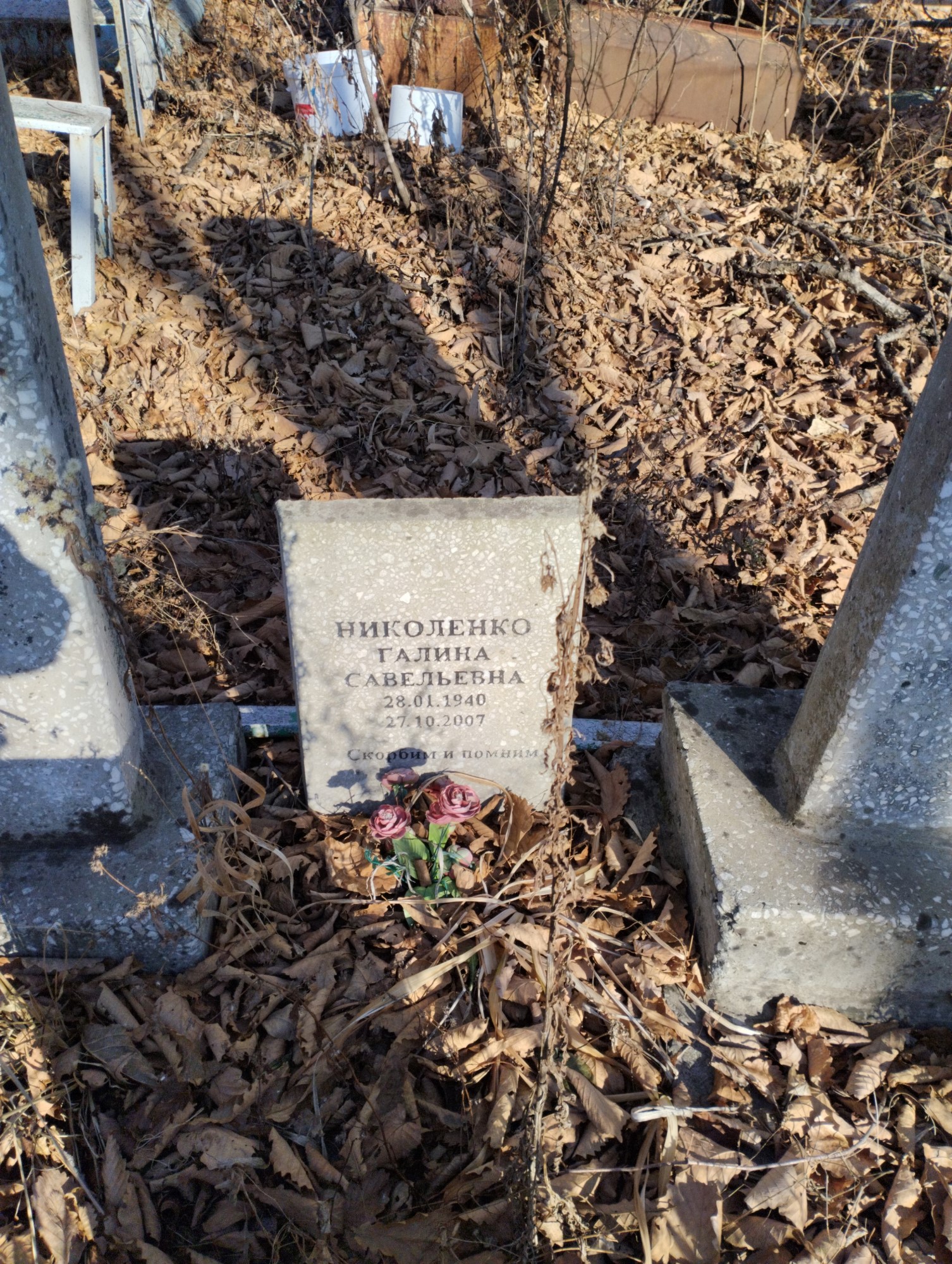 Николенко Галина Савельевна