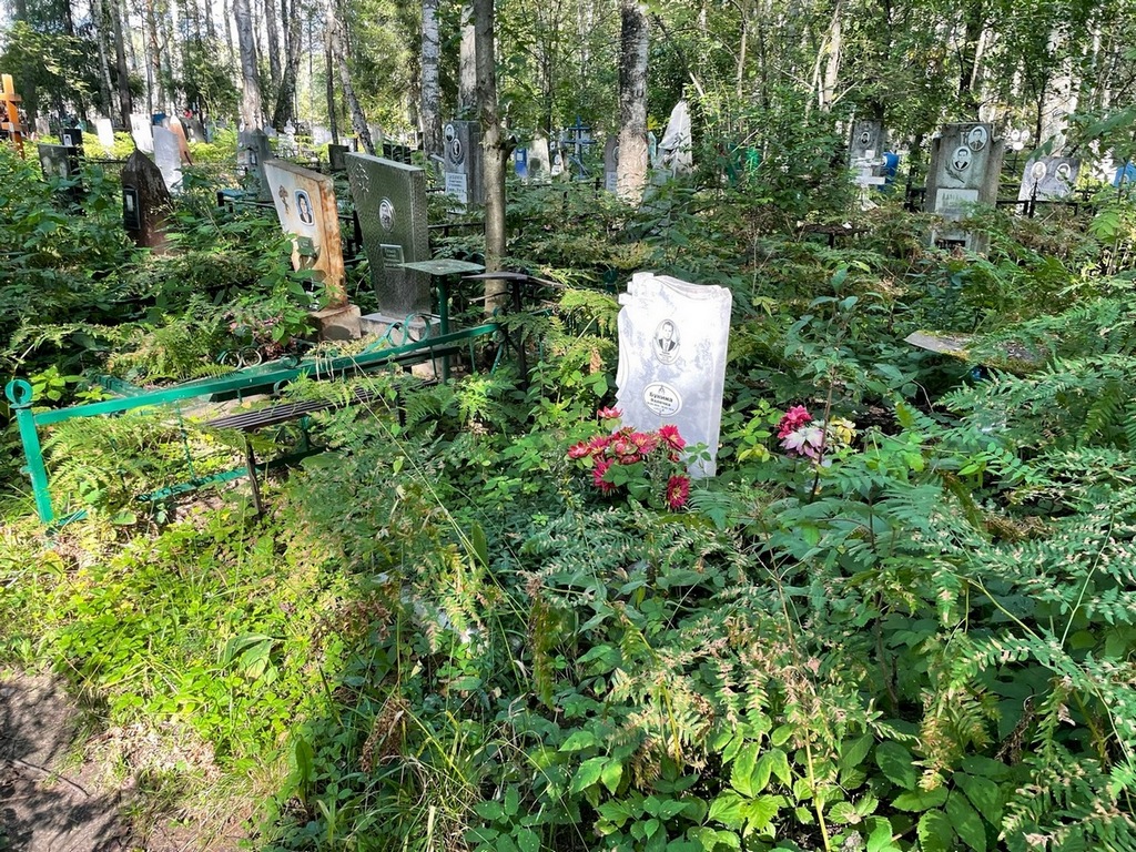 Букин Юрий Васильевич