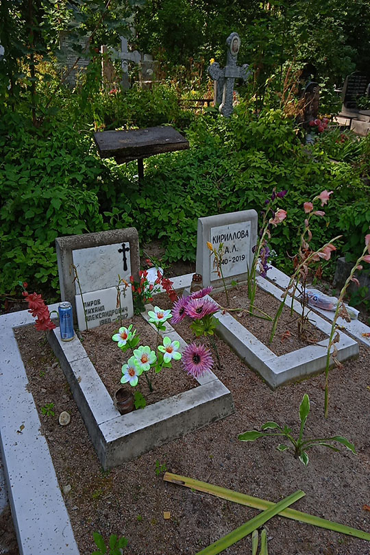 Кириллова А. Л.