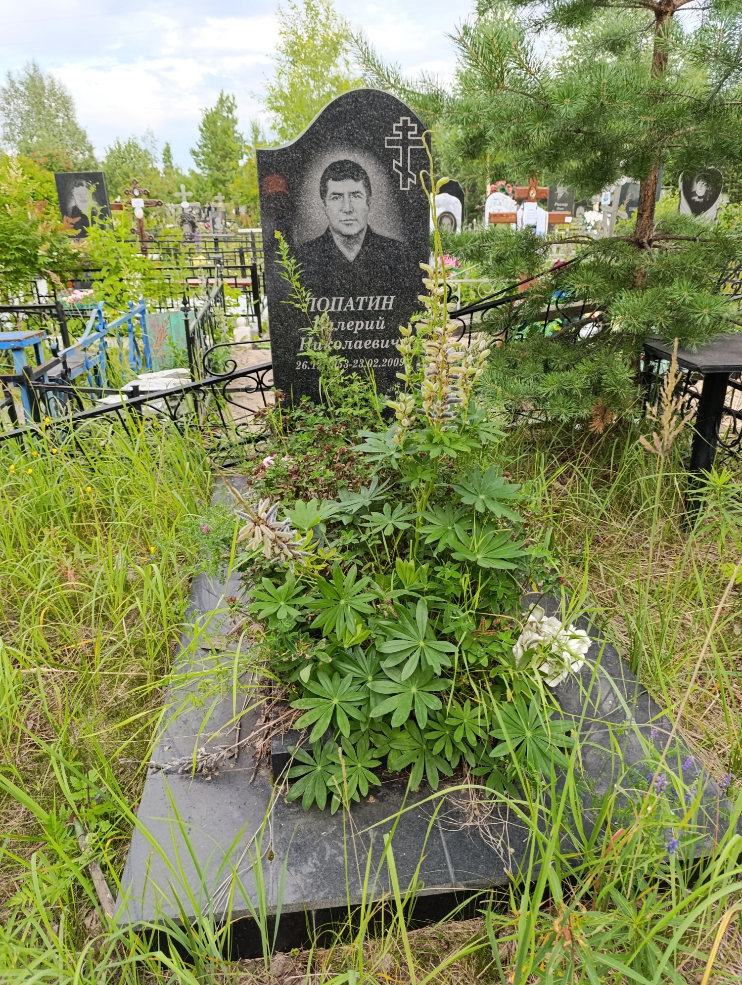 Лопатин Валерий Николаевич