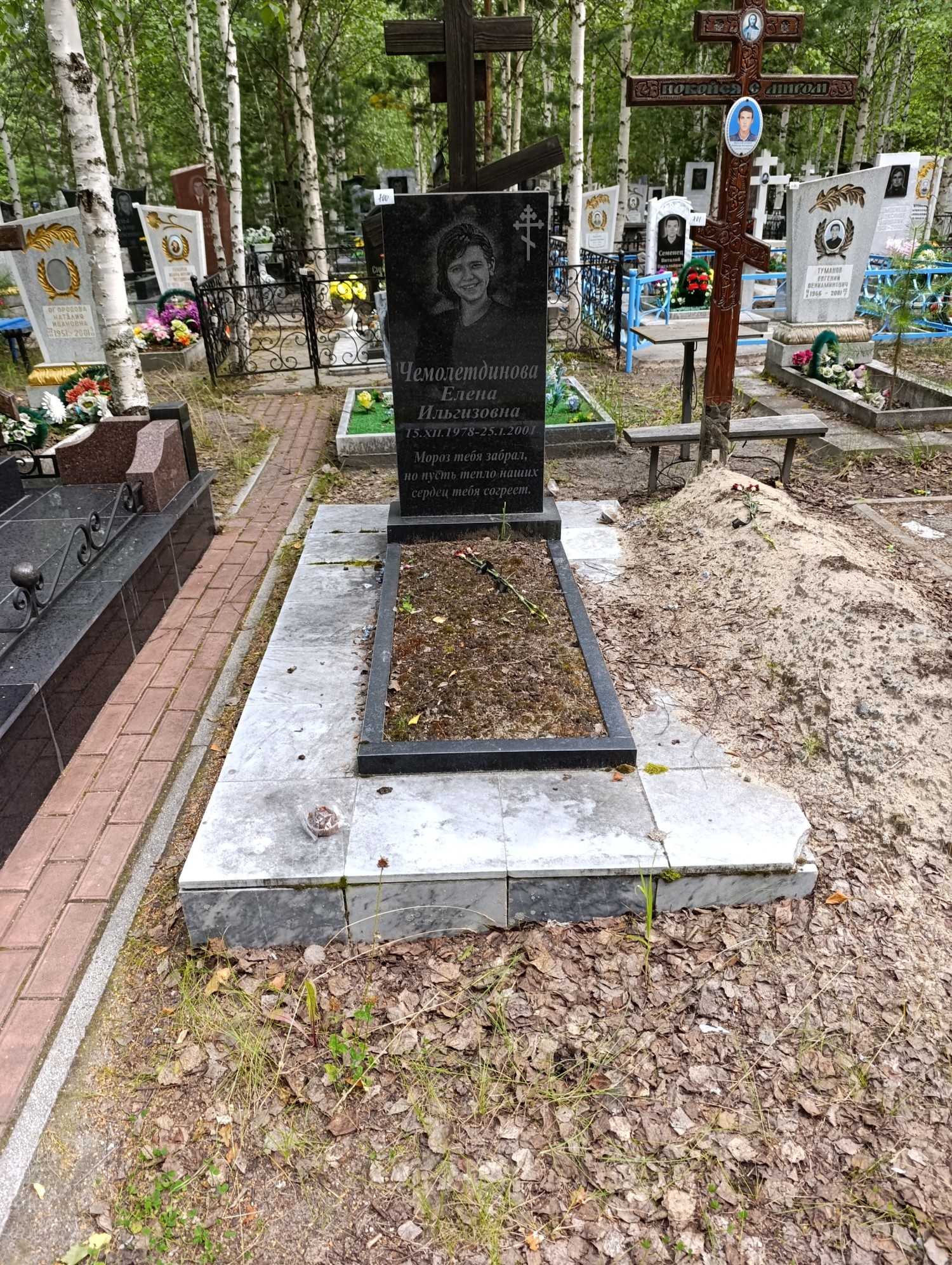 Чемолетдинова Елена Ильгизовна