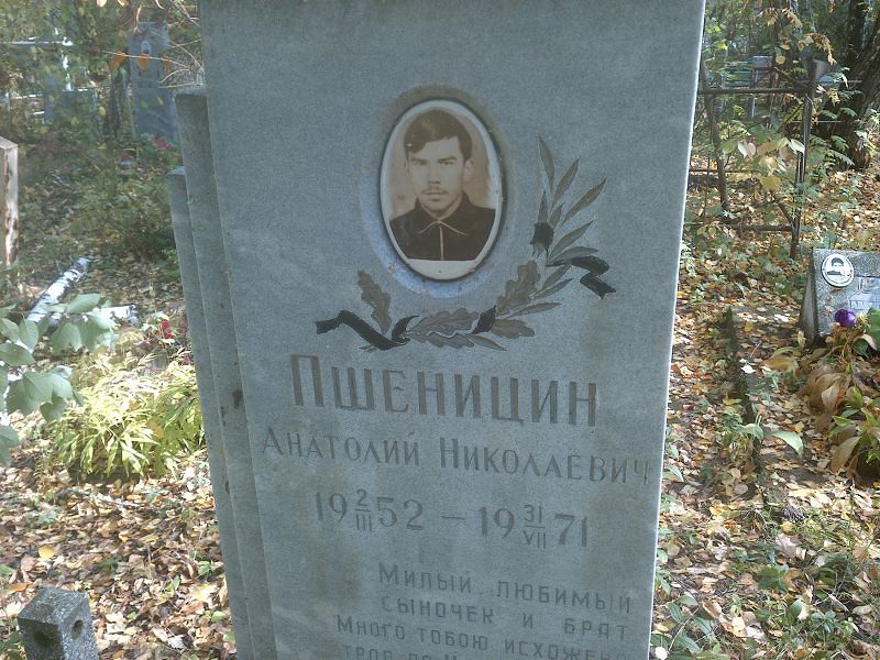 Пшеницын