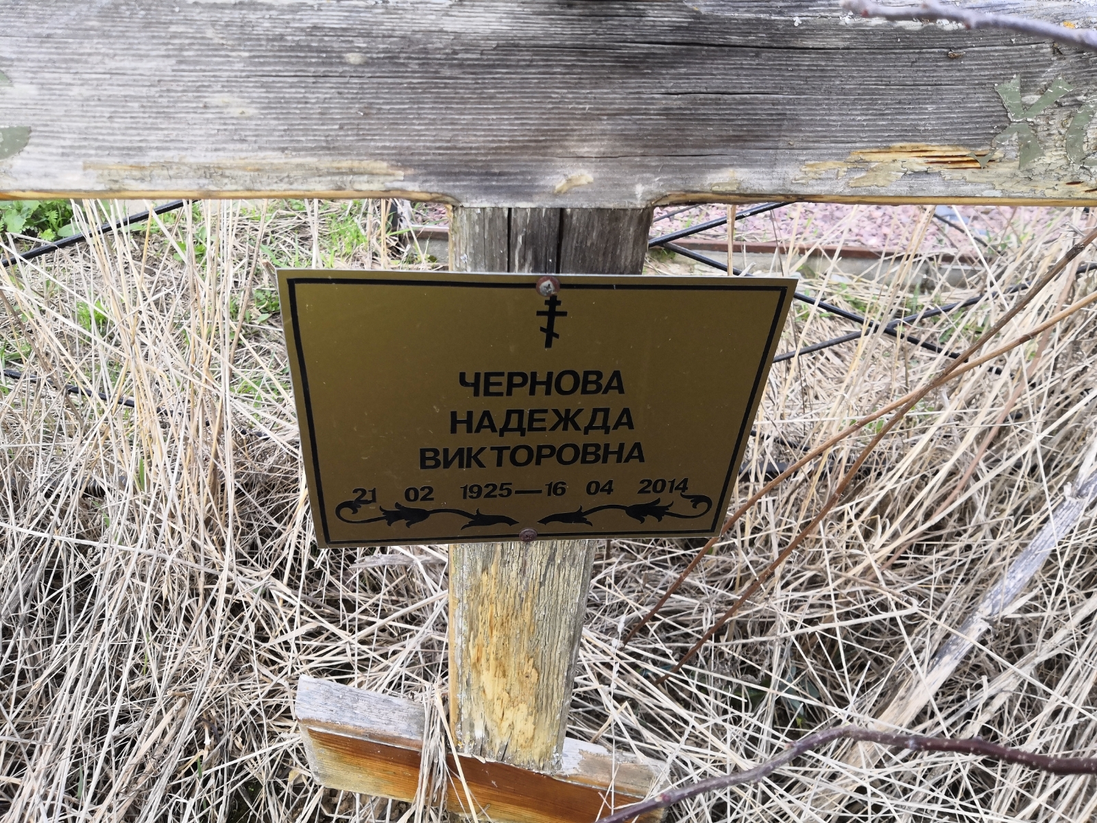 Чернова Надежда Викторовна