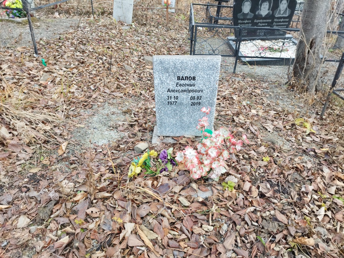 Валов Евгений Александрович