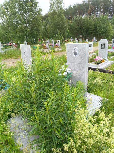 Мялик Анатолий Фёдорович