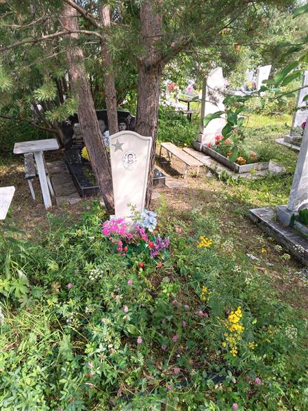 Костоусов Владимир Павлович