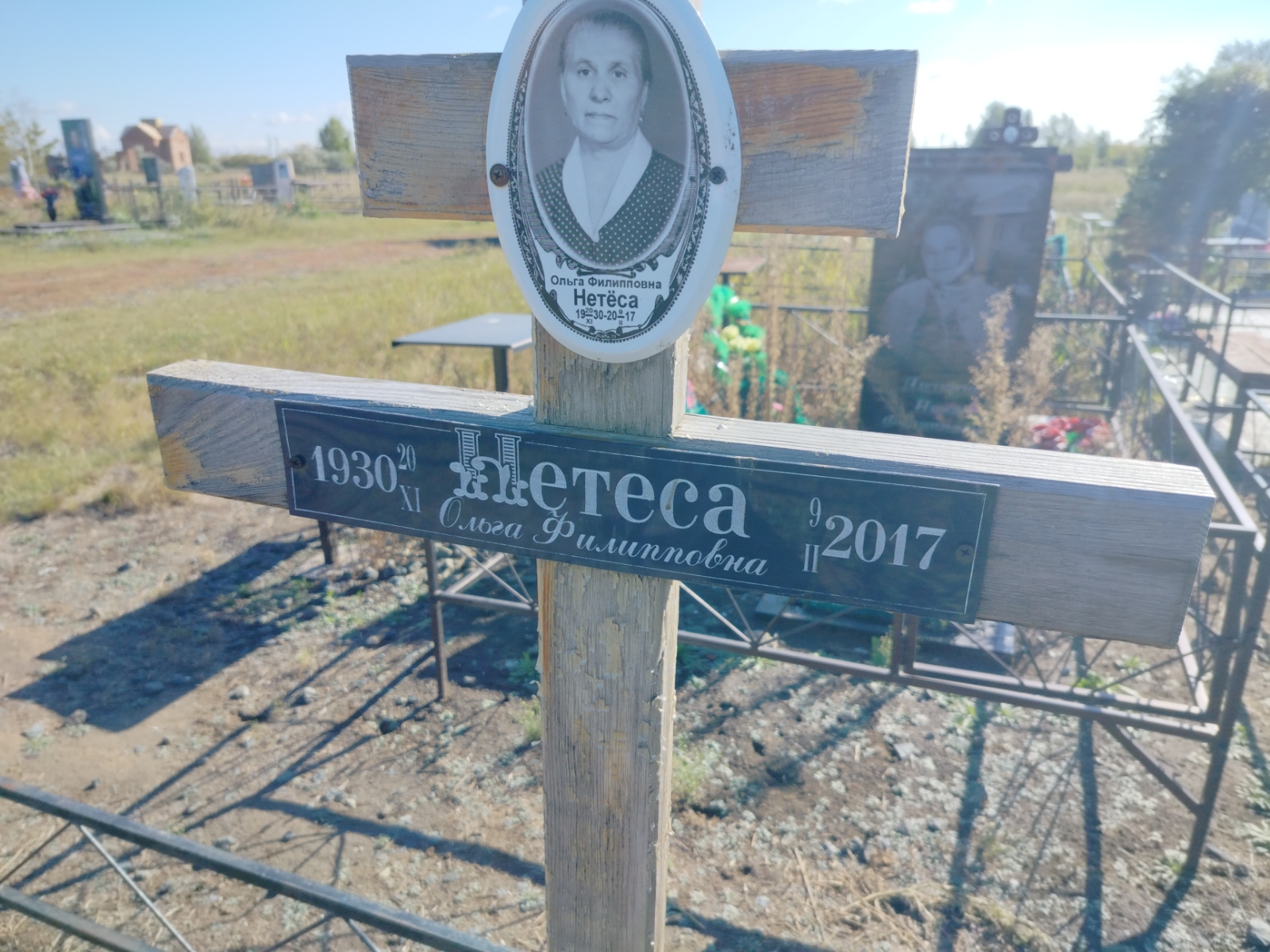 Нетёса Ольга Филипповна