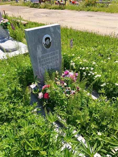 Соколов Александр Андреевич