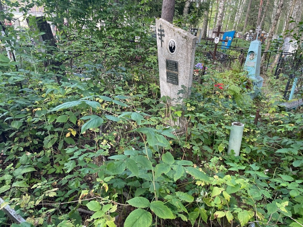 Панов Николай Петрович