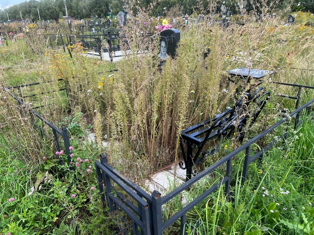Муркаева Мария Алексеевна