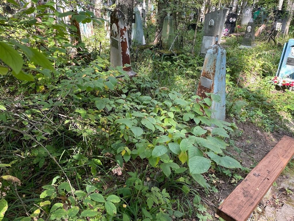 Шашуева Зинаида Михайловна