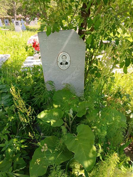 Миронов Дмитрий Григорьевич