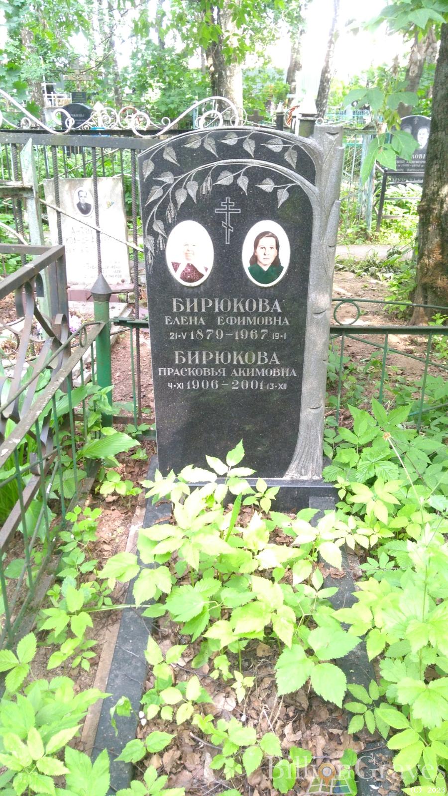 Бирюкова Елена Ефимовна