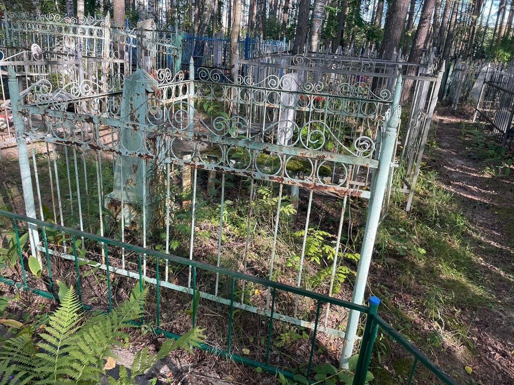 Дружкова Ирина Степановна