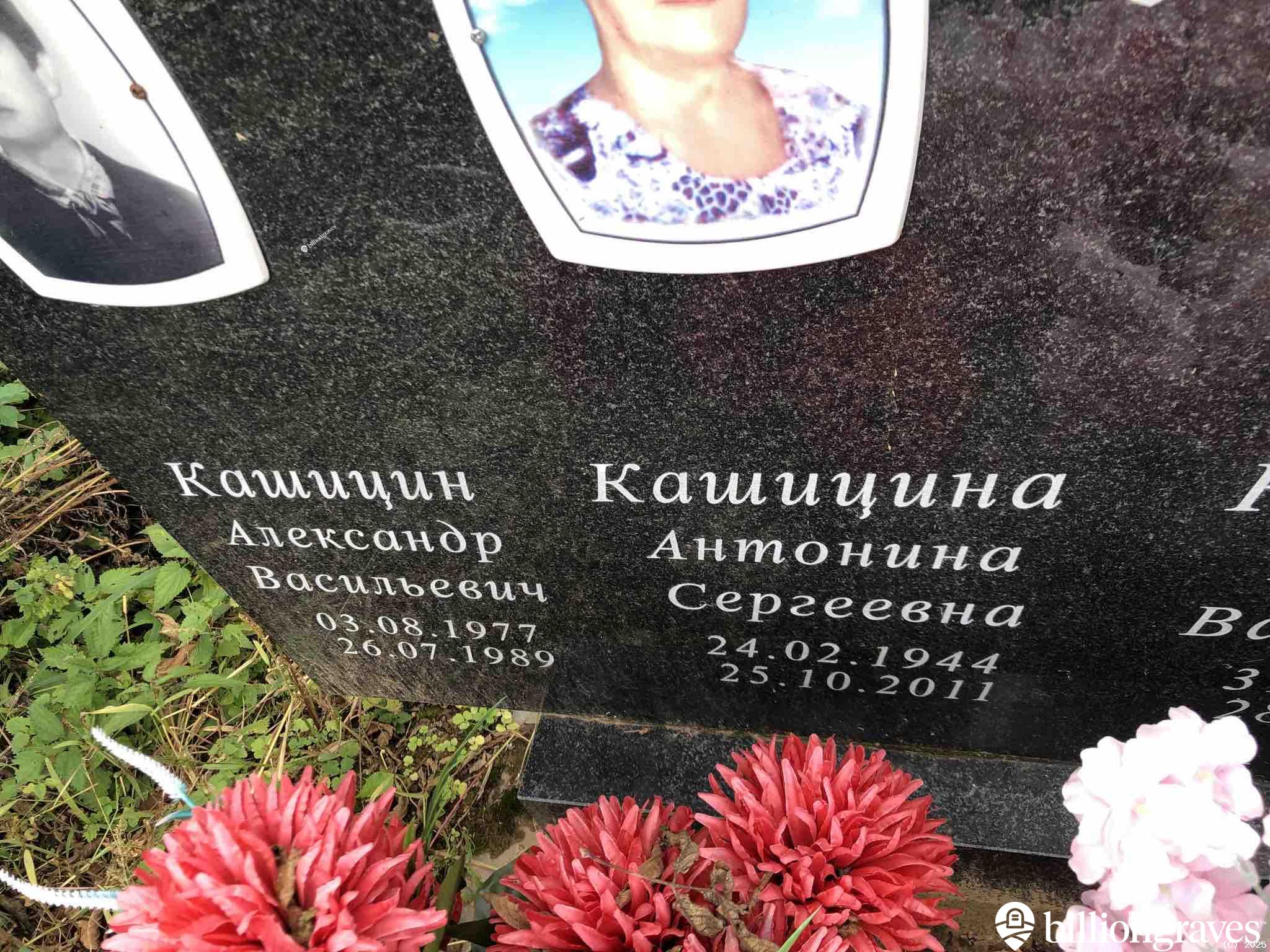 Кашицин Александр Васильевич