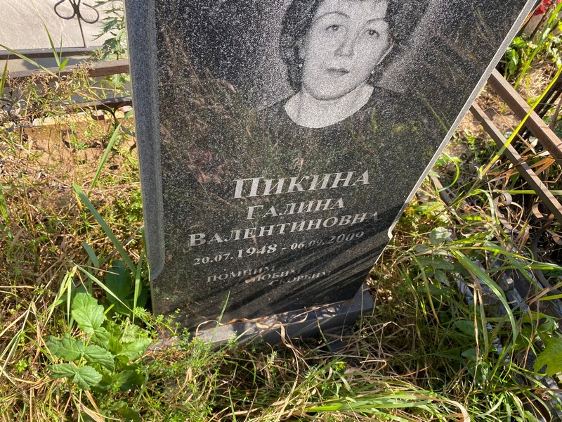 Пикина