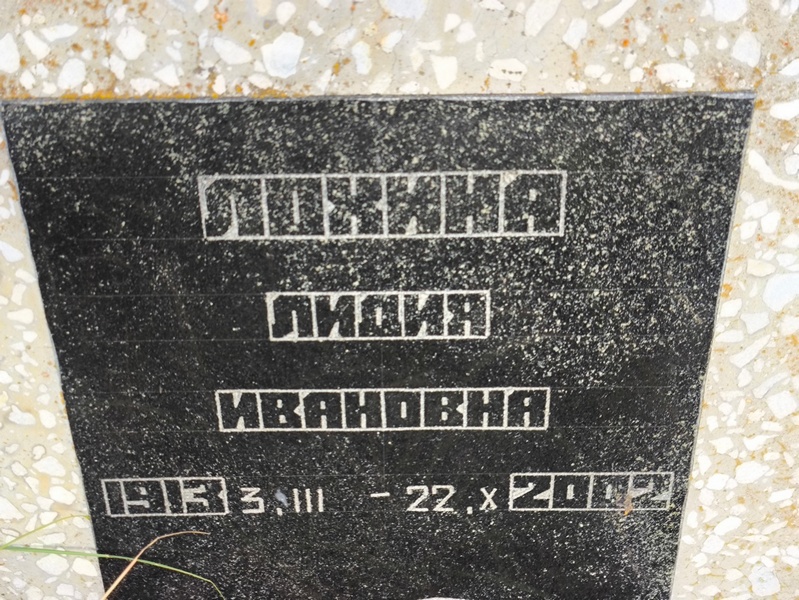 Лохина