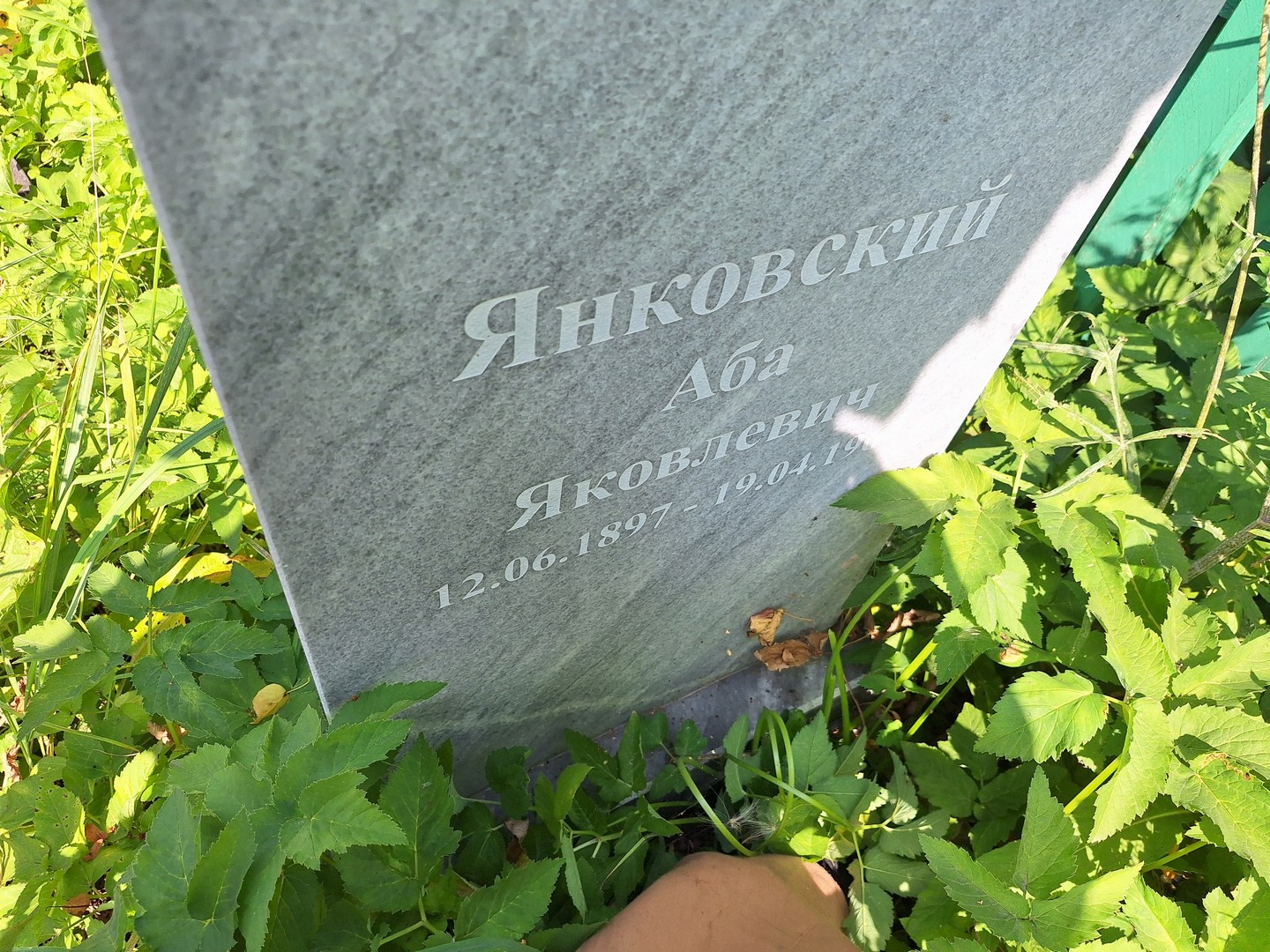 Аба Янковский Яковлевич