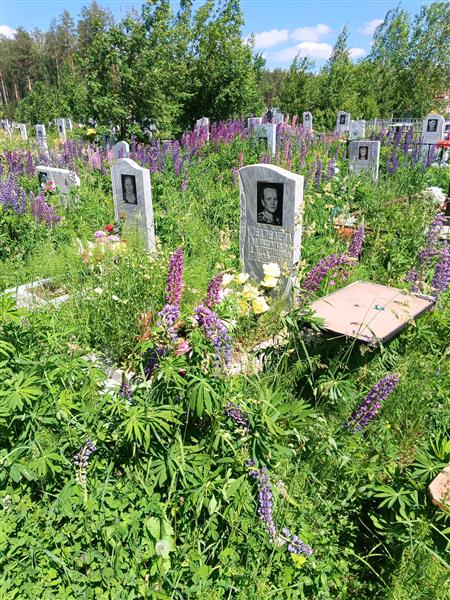 Медведева Александра Георгиевна