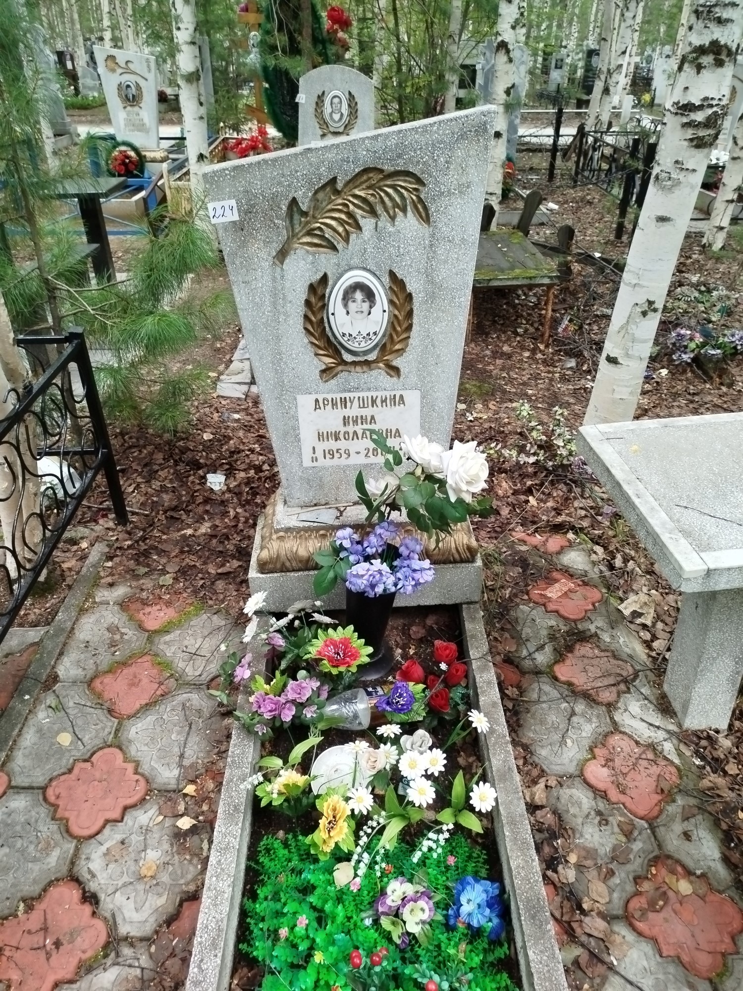 Дринушкина Нина Николаевна