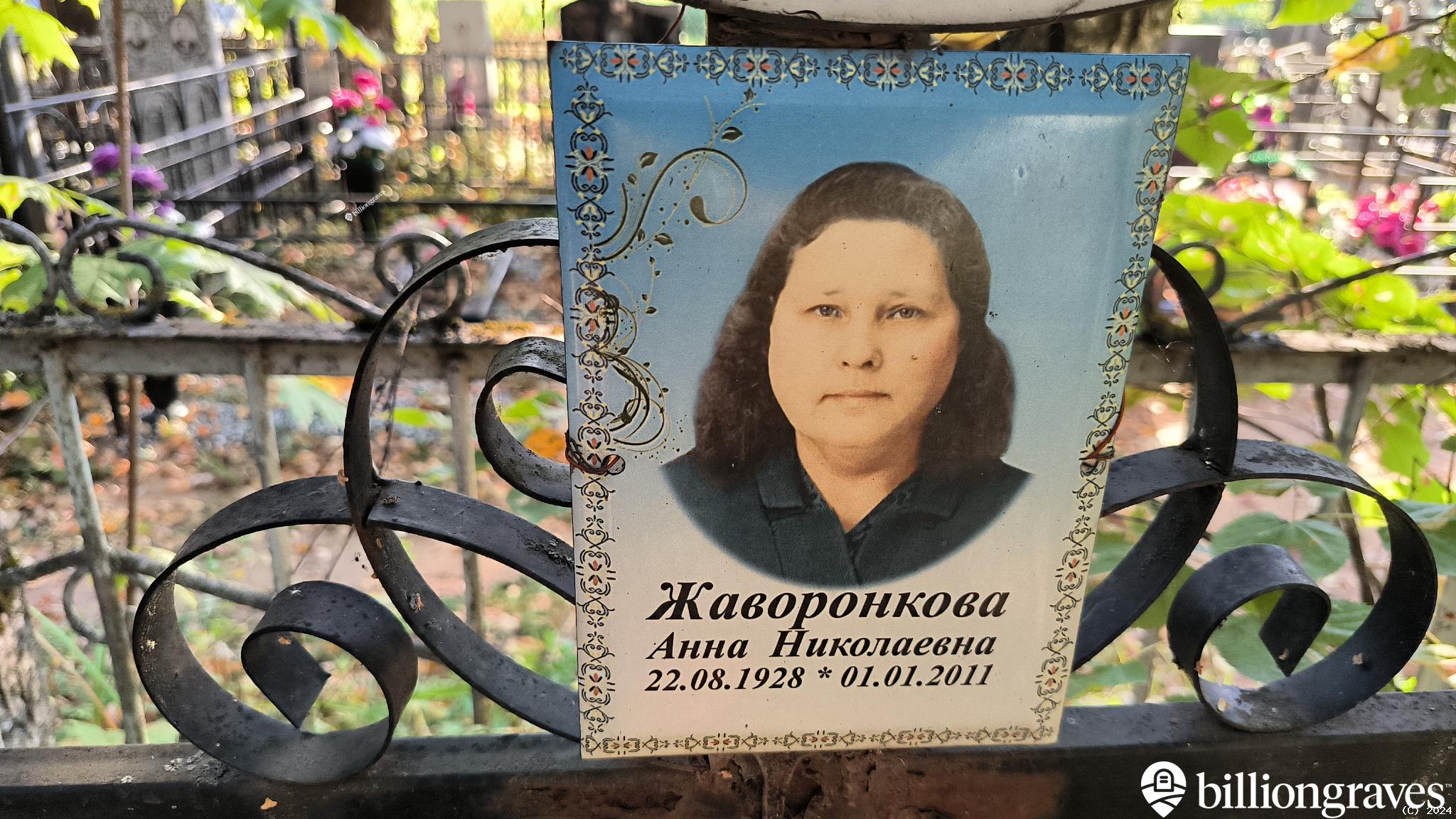 Жаворонкова Анна Николаевна