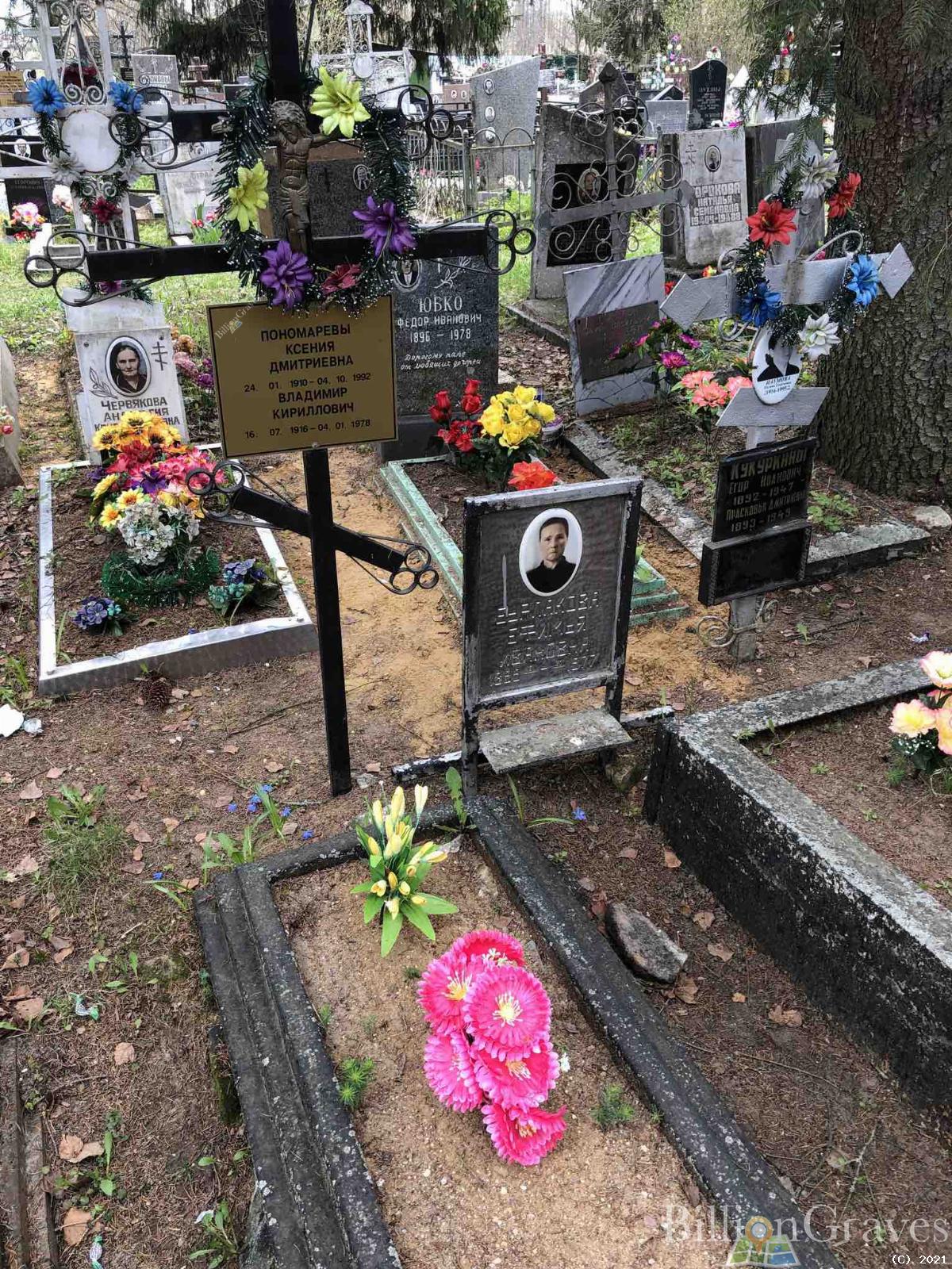 Понамарева Ксения Дмитриевна
