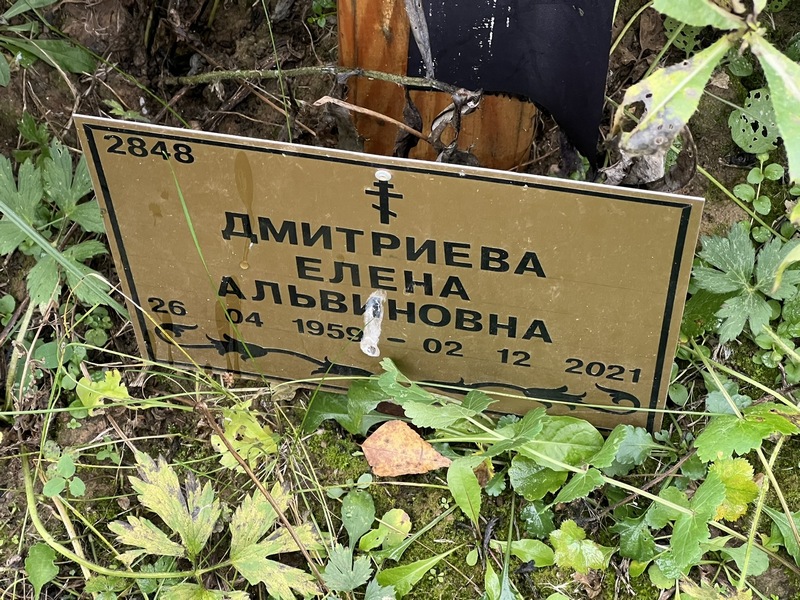 Дмитриева
