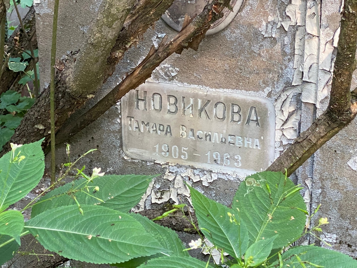 Новикова