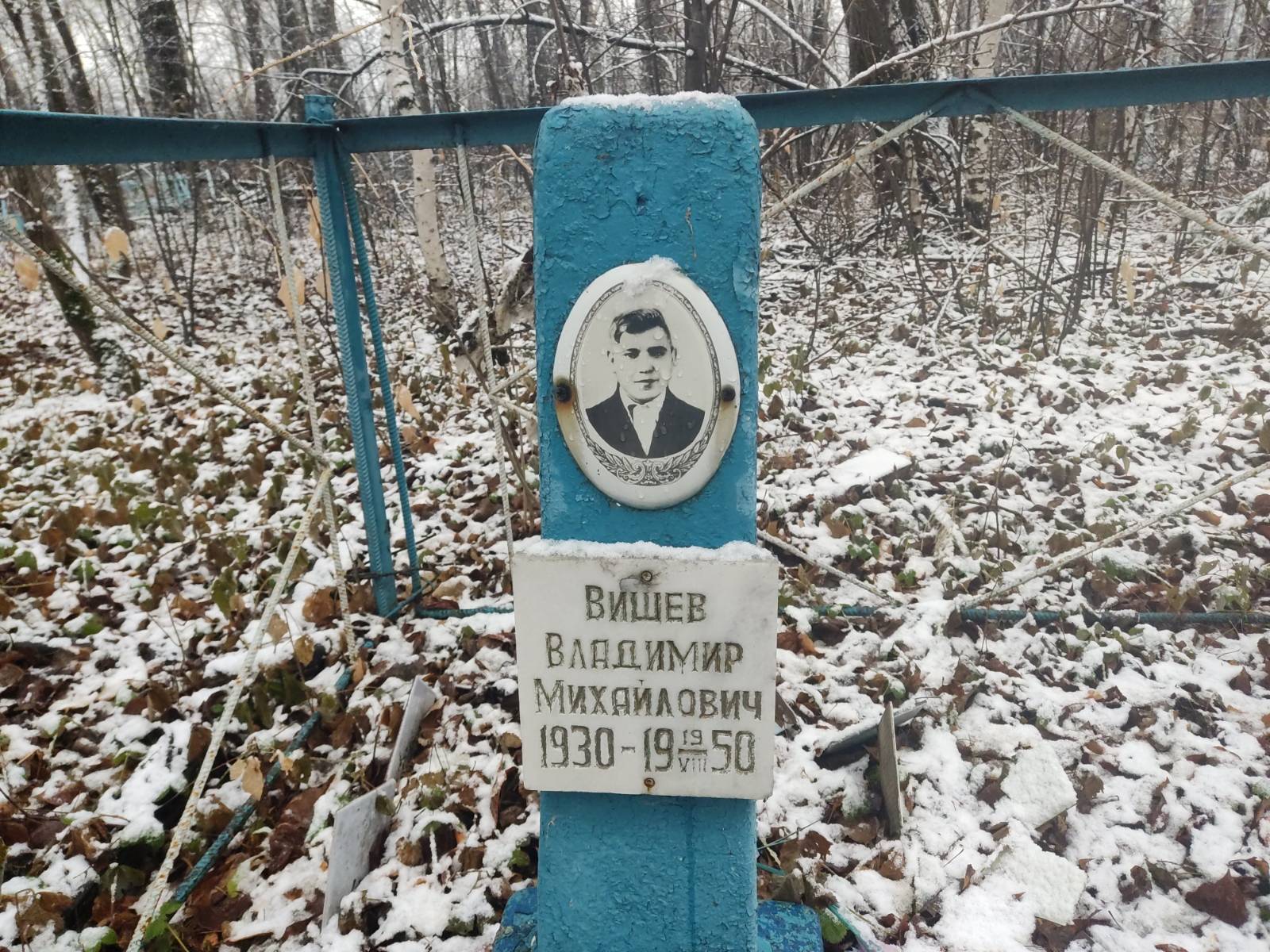 Вишев Владимир Михайлович