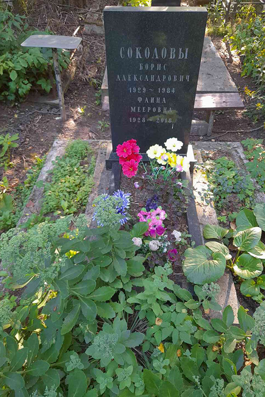 Соколов Борис Александрович