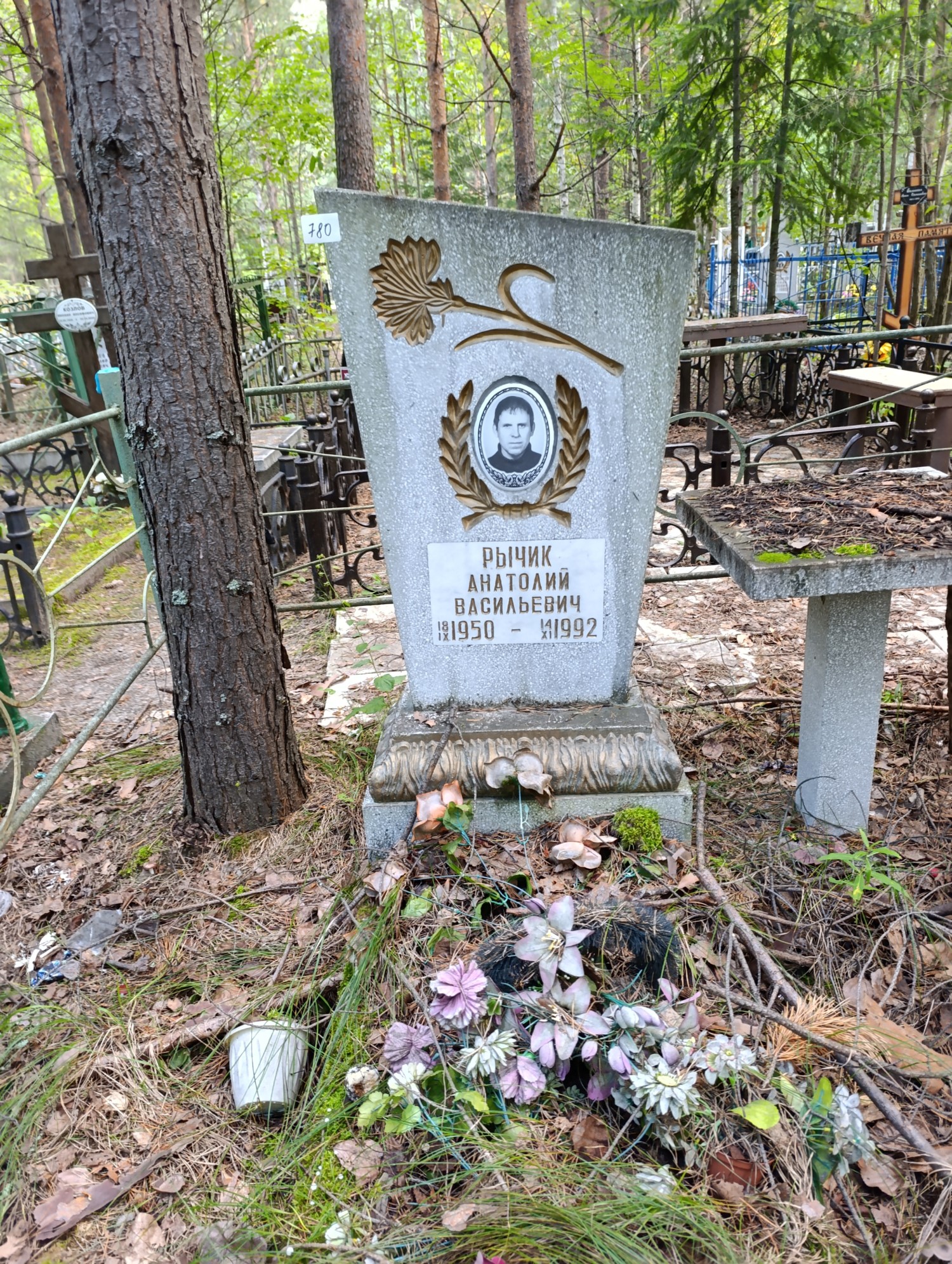 Рычик Анатолий Васильевич