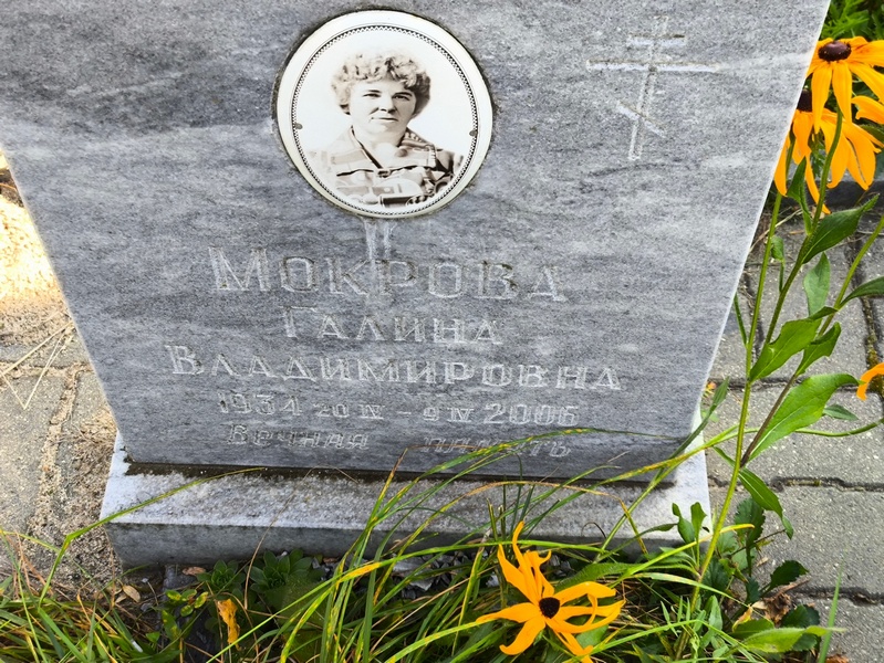 Мокрова