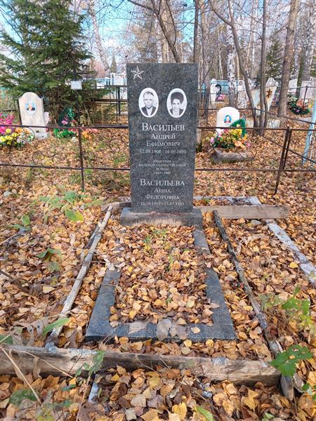 Васильев Андрей Ефимович