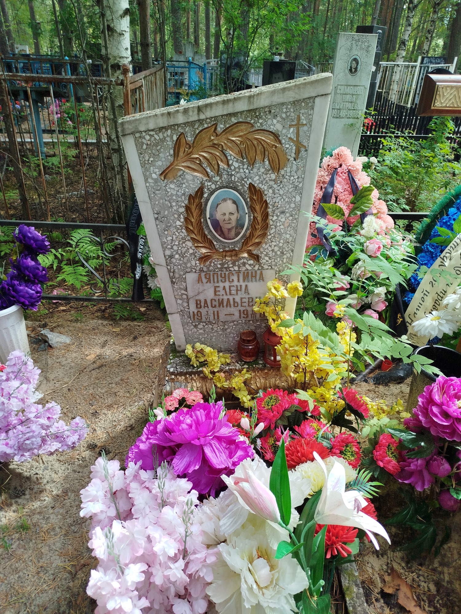 Ляпустина Елена Васильевна