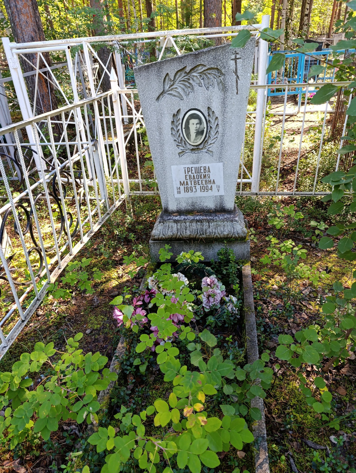 Трещева Евдокия Матвеевна