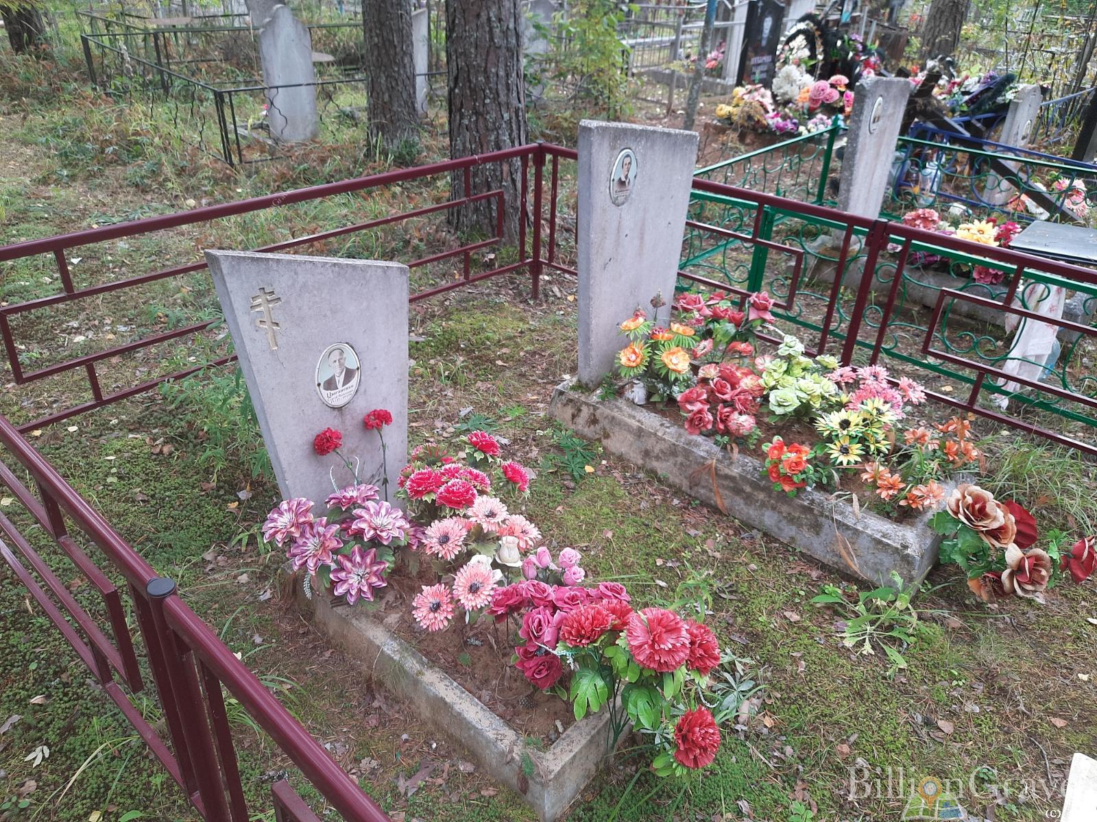 Цыганенко Лариса Ивановна
