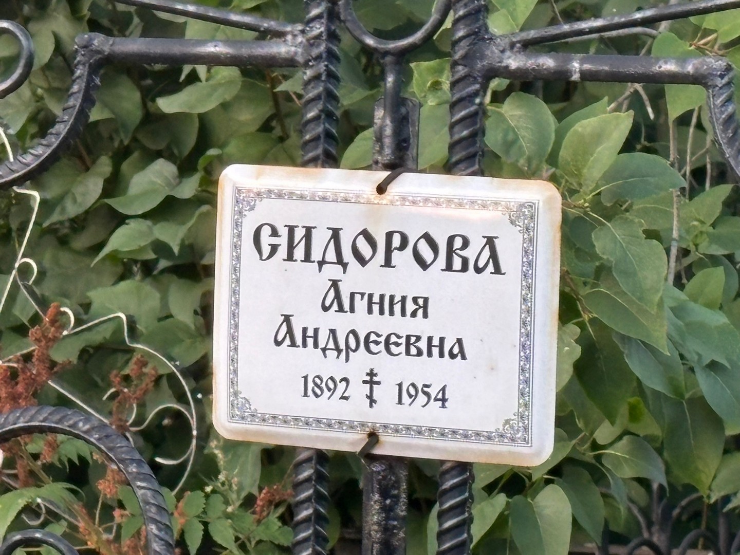 Агния Сидорова Андреевна