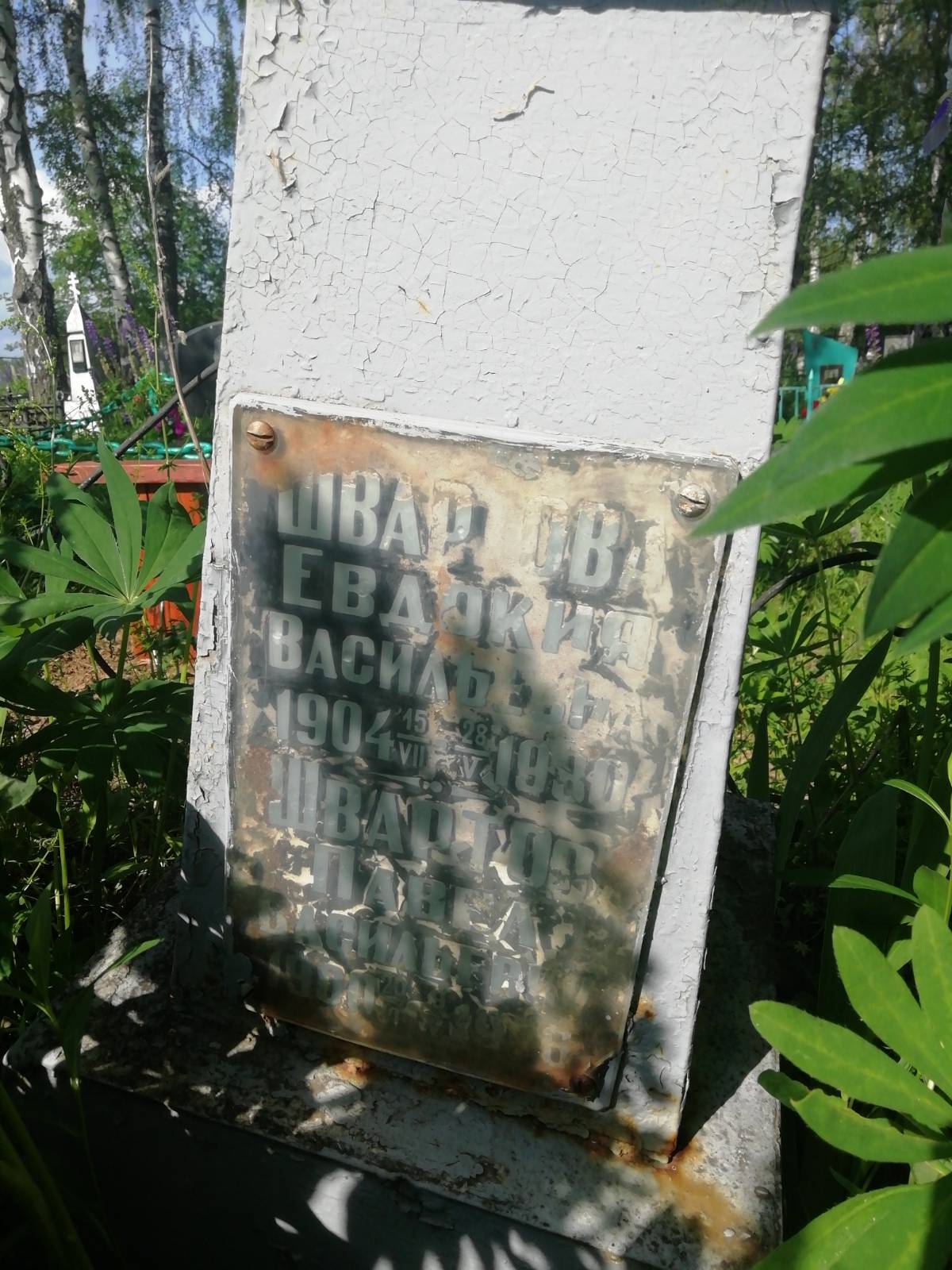 Швартов Павел Васильевич