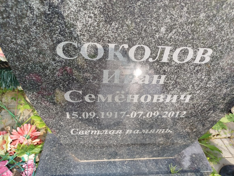 Соколов