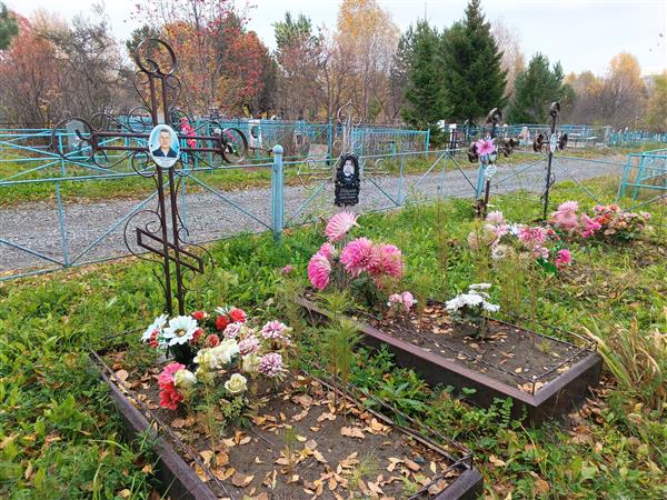 Степанюк Александр Федорович