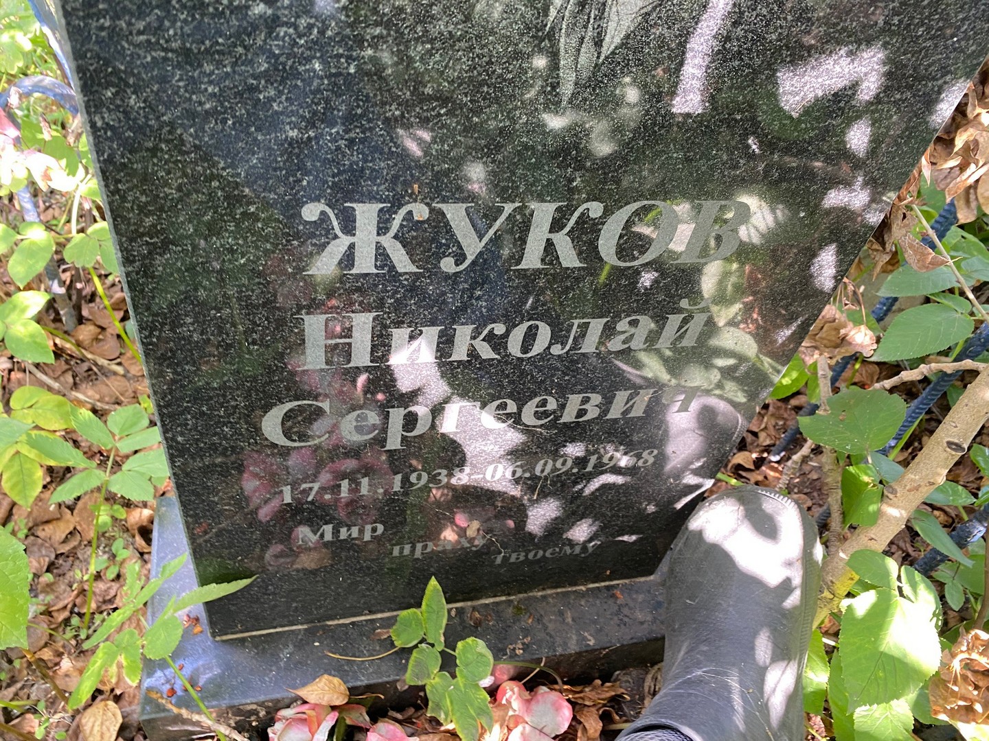 Жуков