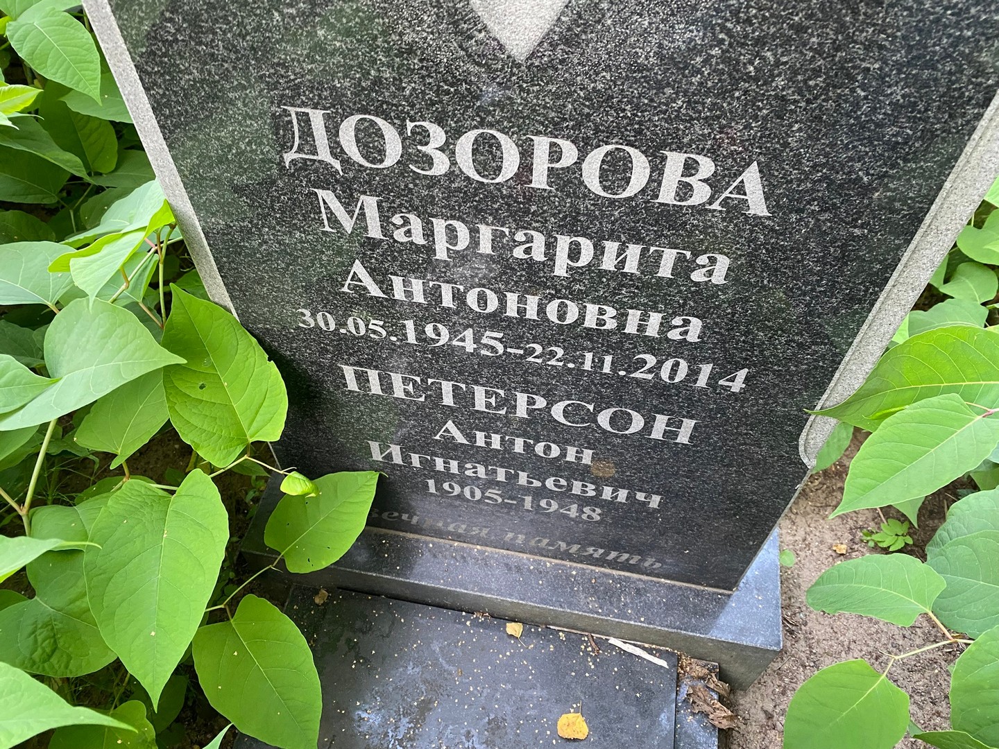 Дозорова