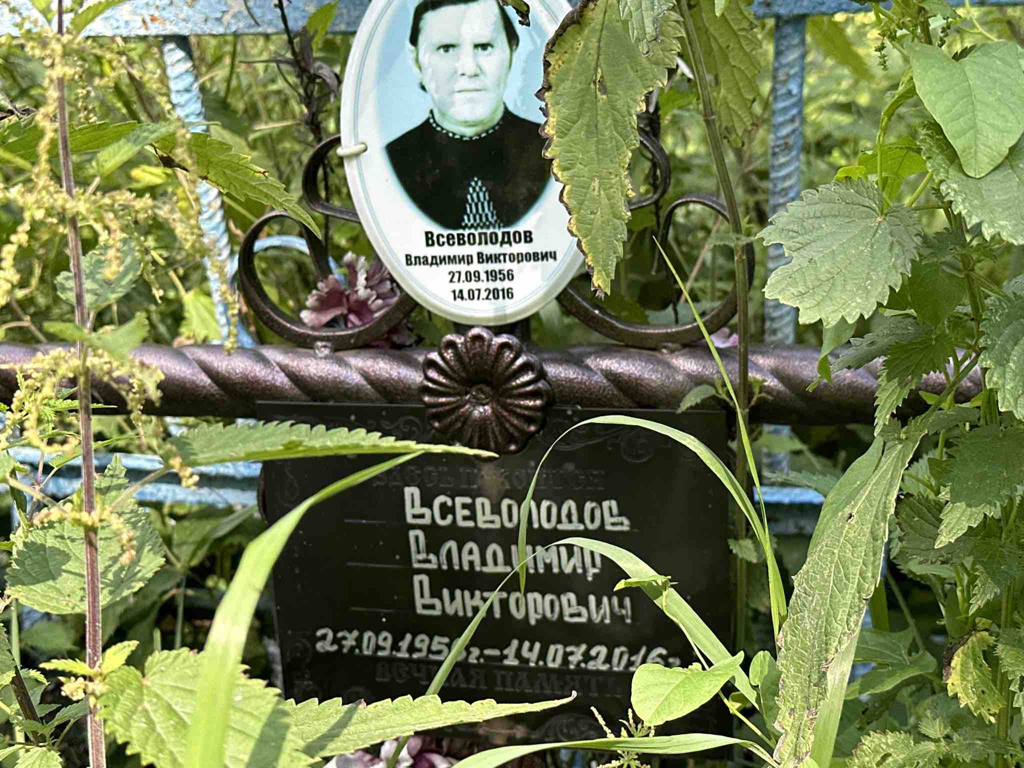 Всеволодов Владимир Викторович