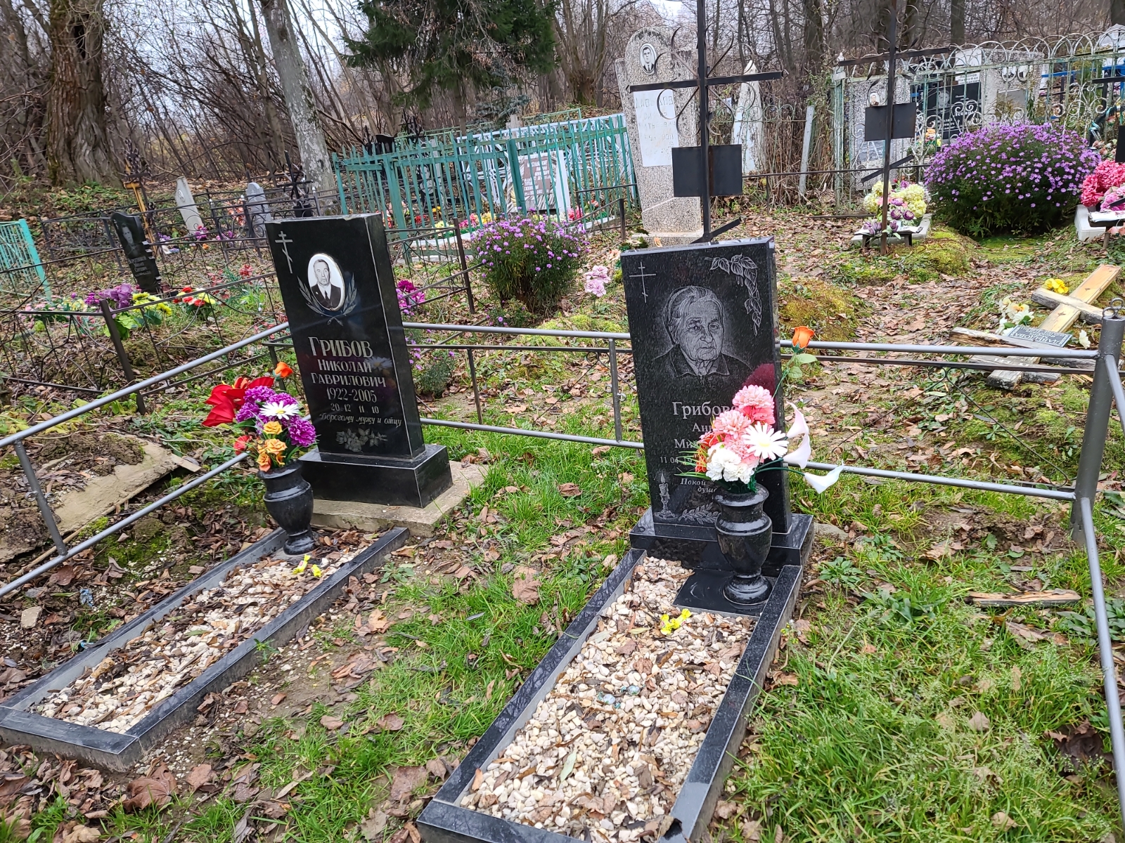 Грибов Николай Гаврилович
