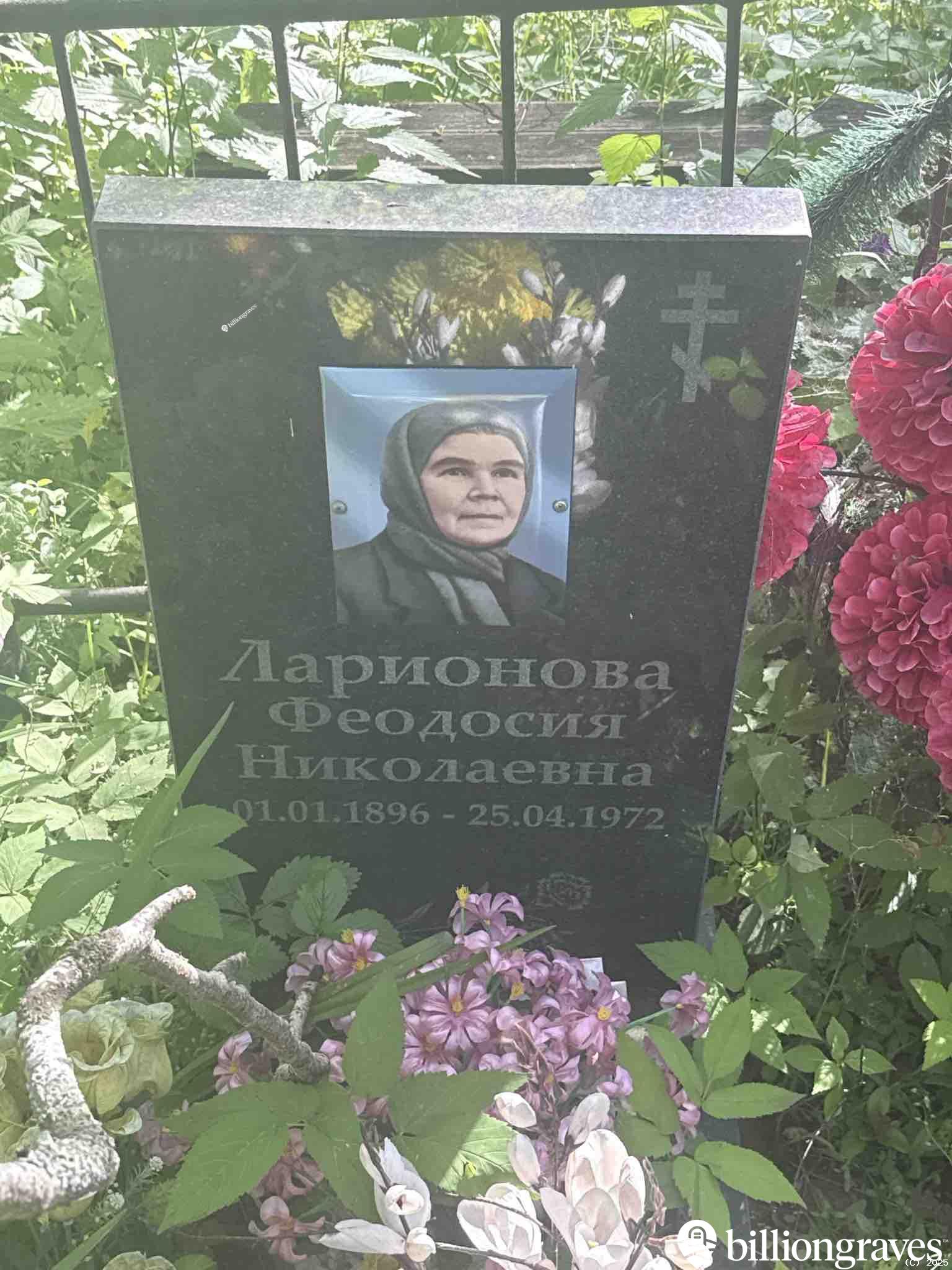 Ларионова Феодосия Николаевна