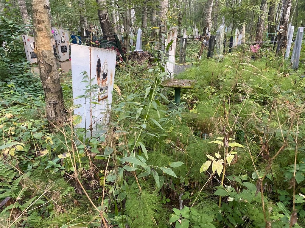 Окунев Иван Ефимович
