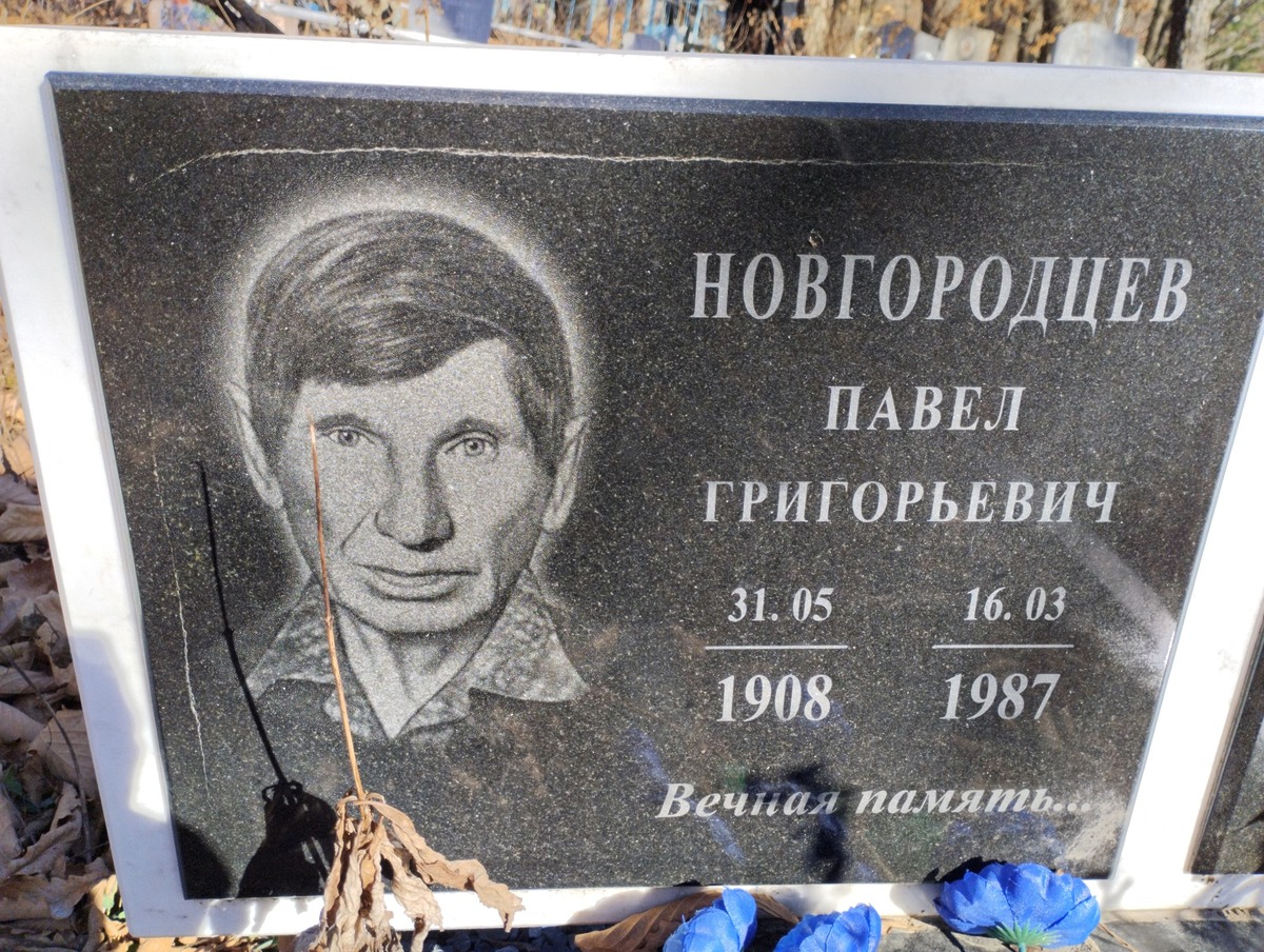 Новгородцев Павел Григорьевич