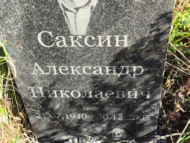 Саксин