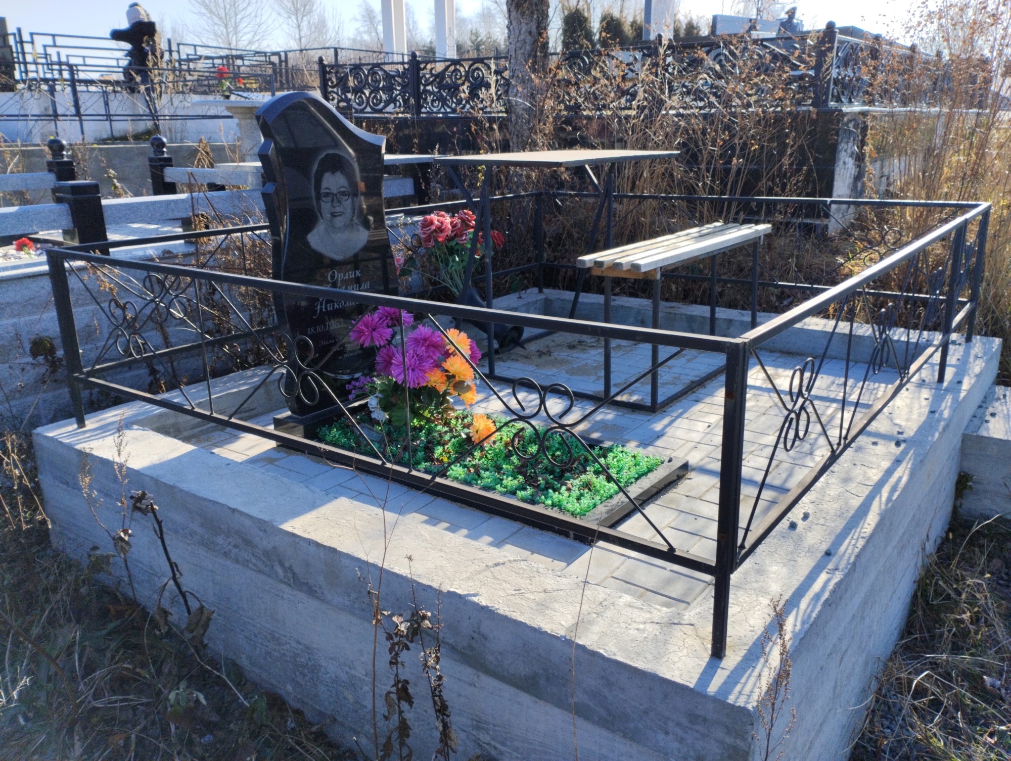 Орлик Людмила Николаевна